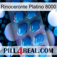 Rhino Platinum 8000 viagra1